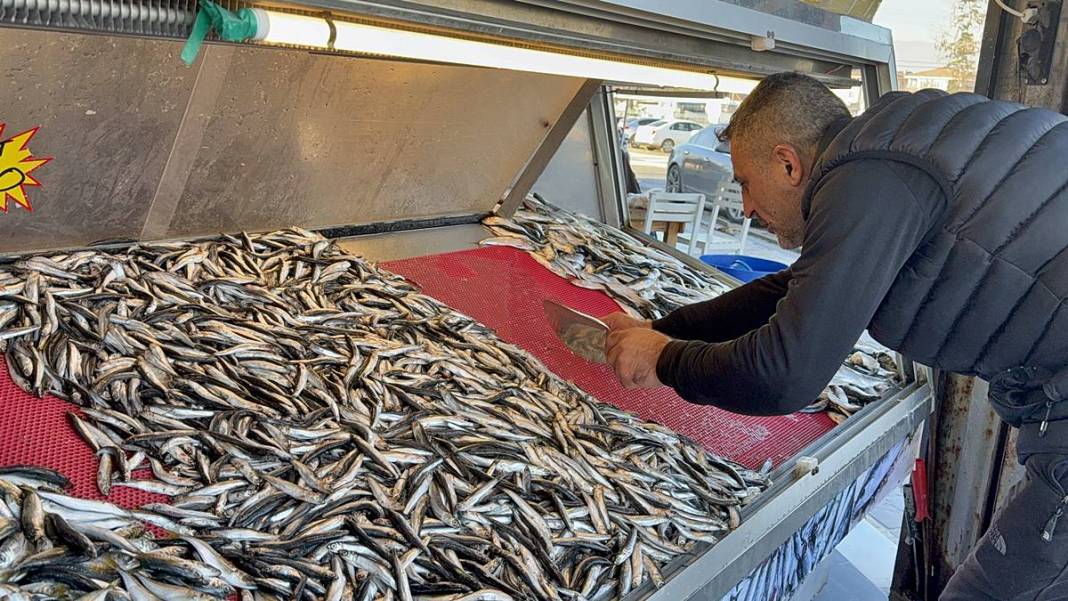 O kentte hamsinin kilosu 50 TL'ye kadar düştü! Fiyatı gören kasa kasa alıyor 20